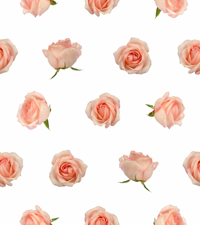 Rose Flower Patternの写真素材