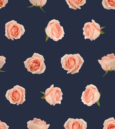 Rose Flower Patternの写真素材