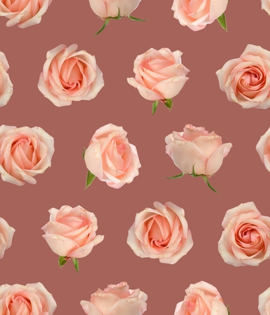 Rose Flower Seamless Patternの写真素材