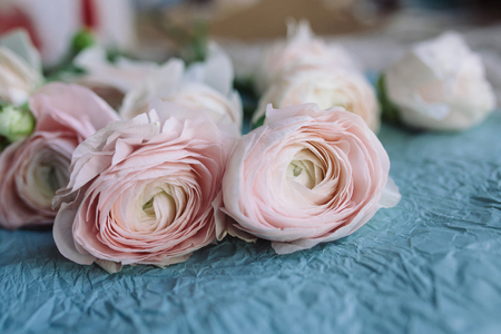 pale pink and white ranunculus bouquet on a blue background, on blue crepe paper. Flowers....
