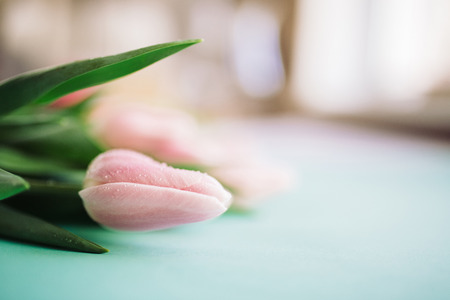 Pink tulips bouquet on a blue background. Soft focusの写真素材