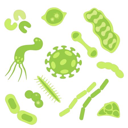 Vector set of microorganisms. Different bacteria and germs in flat style.のイラスト素材