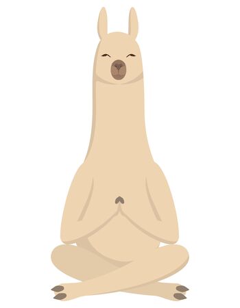 Llama doing yoga. Cute animal in cartoon style.のイラスト素材