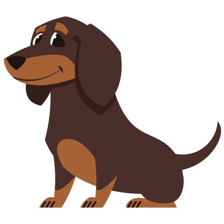 Sitting Dachshund dog. Cute pet in cartoon style.のイラスト素材