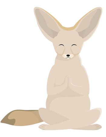 Fenech doing yoga. Cute animal in cartoon style.のイラスト素材