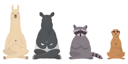 Animals doing yoga. Llama, tapir, raccoon and meerkat in cartoon style.のイラスト素材