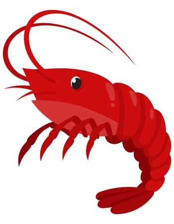 Shrimp in cartoon style. Sea animal isolated on white background.のイラスト素材
