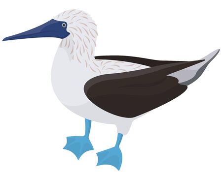Blue-footed booby side view. Tropical bird in cartoon style.のイラスト素材