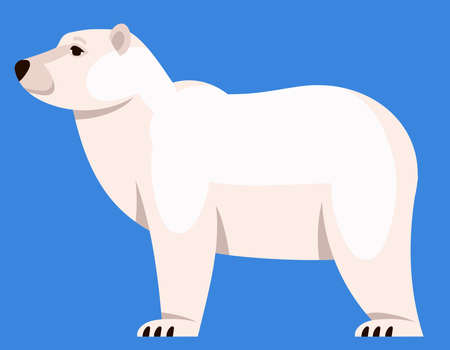 Polar bear side view. Arctic animal in cartoon style.のイラスト素材