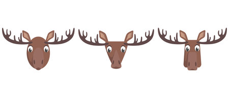 Set of cartoon moose. Different shapes of animal faces.のイラスト素材