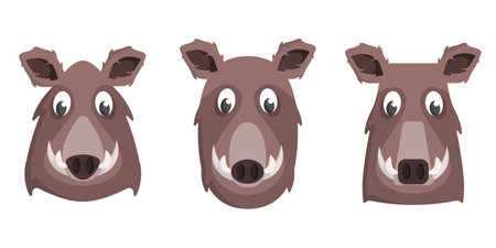 Set of cartoon boars. Different shapes of animal faces.のイラスト素材