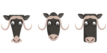 Set of cartoon muskoxen. Different shapes of animal heads.のイラスト素材