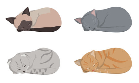 Sleeping different cats. Siamese, lop-eared, red-headed and russian blue cat.のイラスト素材
