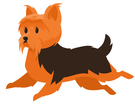 Running Yorkshire Terrier. Cute pet in cartoon style.のイラスト素材