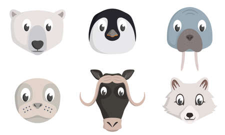 Set of arctic animal heads. Wildlife inhabitants in cartoon style.のイラスト素材