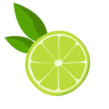 Lime with mint leaves. Citrus fruit in cartoon style.のイラスト素材