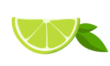Slice of lime with mint leaves. Citrus fruit in cartoon style.のイラスト素材
