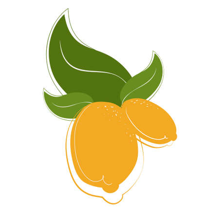 Lemons with leaves. Citrus fruits in flat style.のイラスト素材
