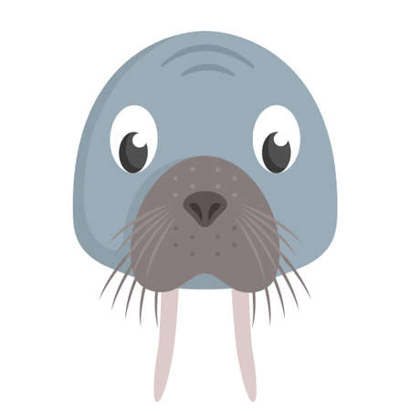 Walrus face front view. Animal head in cartoon style.のイラスト素材