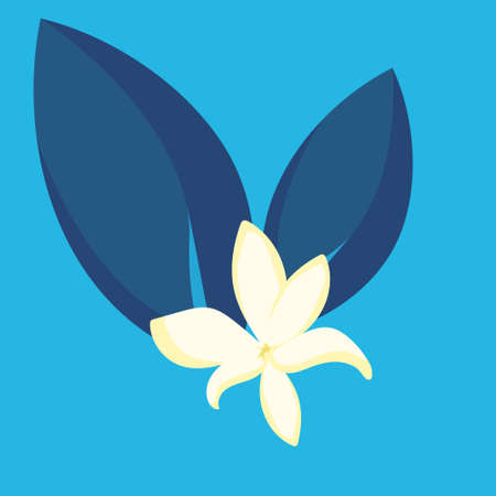 Vanilla flower with leaves. Decorative element in cartoon style.のイラスト素材
