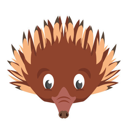 Echidna face front view. Animal head in cartoon style.のイラスト素材