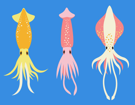 Set of different squids in flat style. Beautiful underwater inhabitants.のイラスト素材