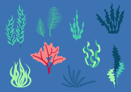 Set of different algae in flat style. Beautiful design elements.のイラスト素材