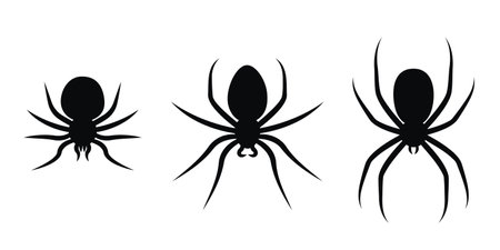 Set of different spiders. Insects in flat style.のイラスト素材