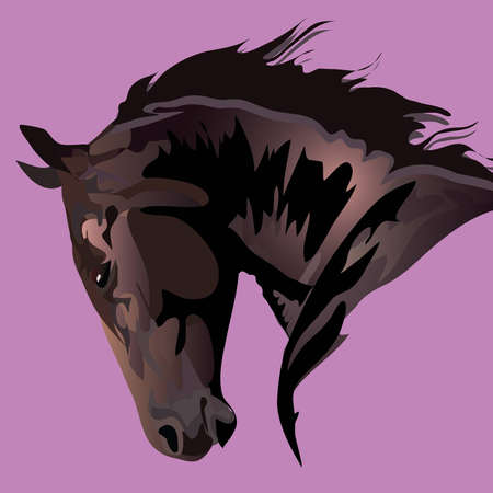 horse head in a free mannerのイラスト素材