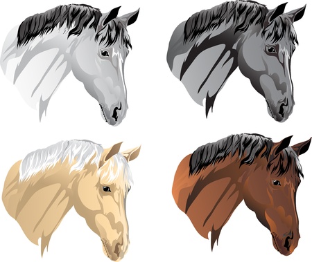 Vector red heads, nightingales, crows, white horsesのイラスト素材