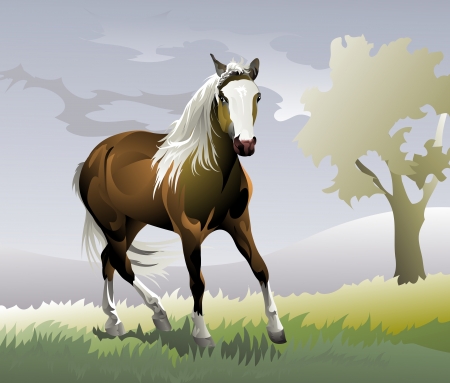 horse pony rides on the roadのイラスト素材