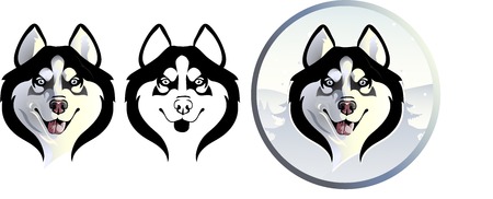 Siberian Husky optionsのイラスト素材