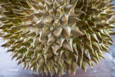 close up durian. thorny of fruit.の写真素材