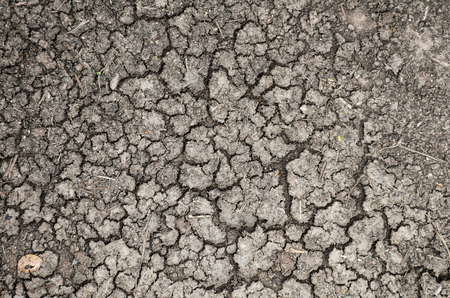 cracked or dried ground/earth texture background. aridity, desolation and dryness concept.の写真素材