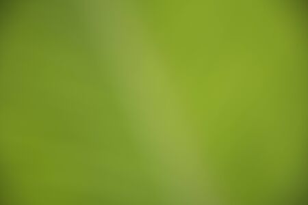 abstract green color with nature background. blurred gradient with garden.の写真素材