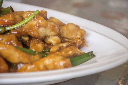 Sesame chicken with Rice. Traditional thai food on dish. Selective focus.の写真素材