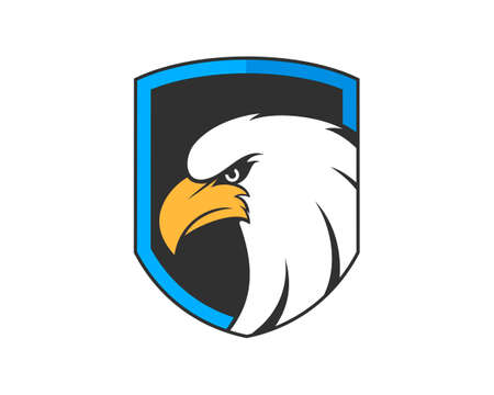 Shield with luxury eagle insideのイラスト素材