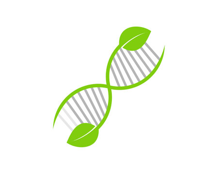 Nature leaf with DNA symbolのイラスト素材