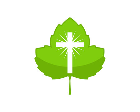 Nature clover leaf with religion cross insideのイラスト素材