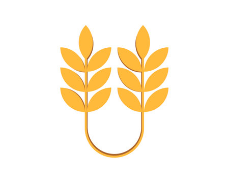 Double gold wheat connectionのイラスト素材