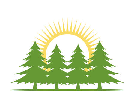 Forest tree with sunriseのイラスト素材