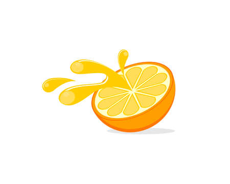 Fresh orange fruit with splashのイラスト素材