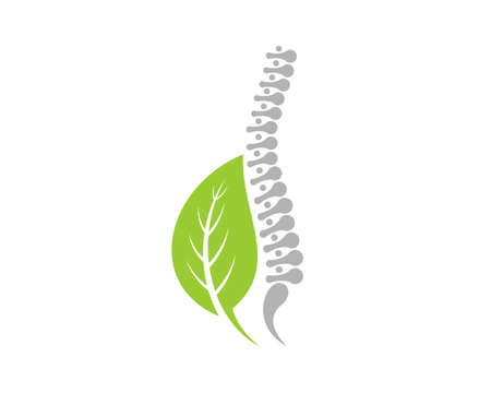 Healthy spine with herb medical leaf logoのイラスト素材