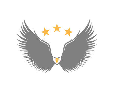 Flying eagle with star on the topのイラスト素材