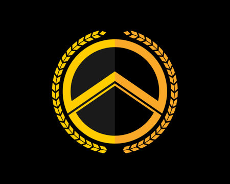 Spartan shield with golden colorsのイラスト素材