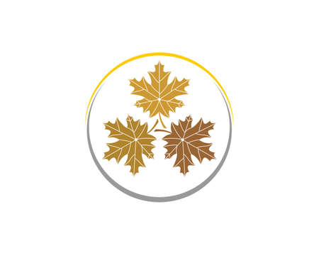Tree maple leaf inside the circle logoのイラスト素材
