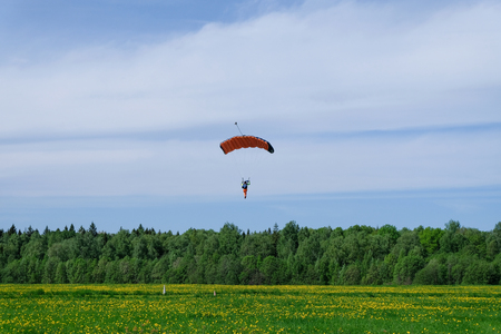 Parachute is landing on the dandelion field.の写真素材