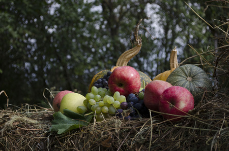 Pumpkins, apples and grapes