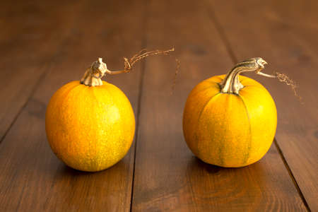 Yellow pumpkins on the brown wooden background horizontal front wievの写真素材