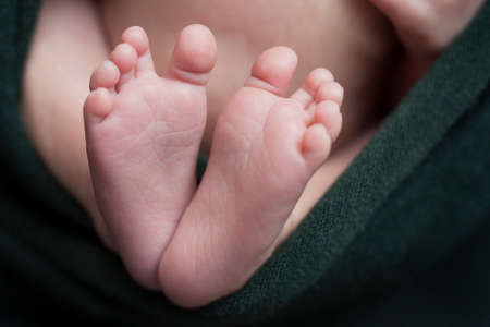 Childrens sweet feet wrapped in a green blanket, close up.の写真素材